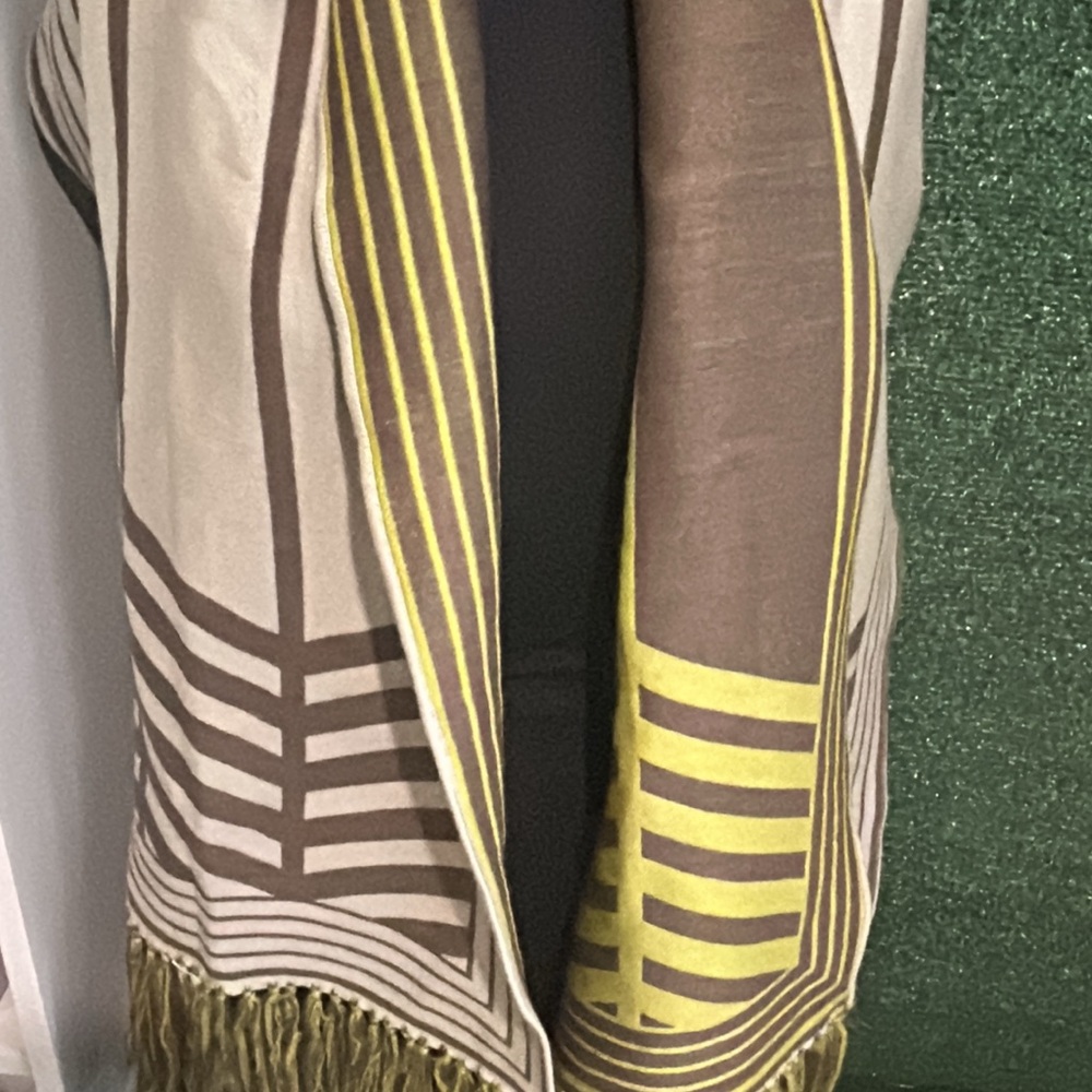 Louis Vuitton Brown & Green Chevron Wool Scarf - Picture 2 of 16